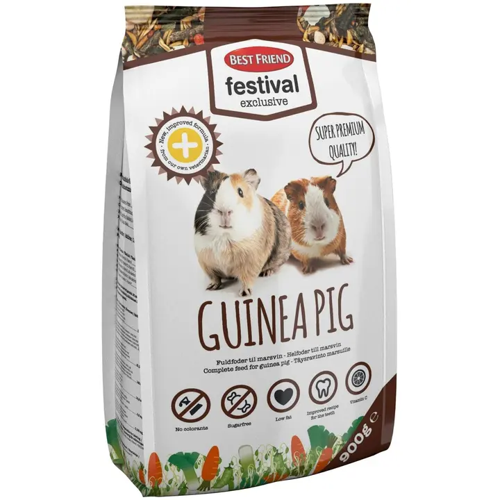 Best Friend Festival Exclusive 900g Guinea pig