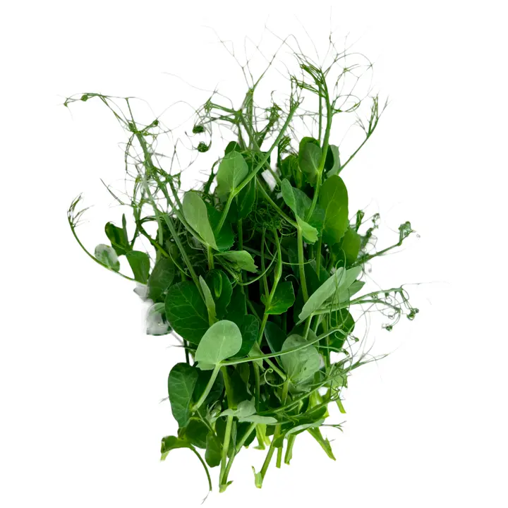 Mahe hernevõrsed 50g