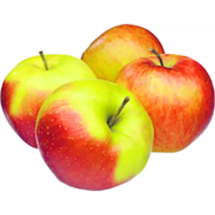 Hiekkalan tilan luomu omena