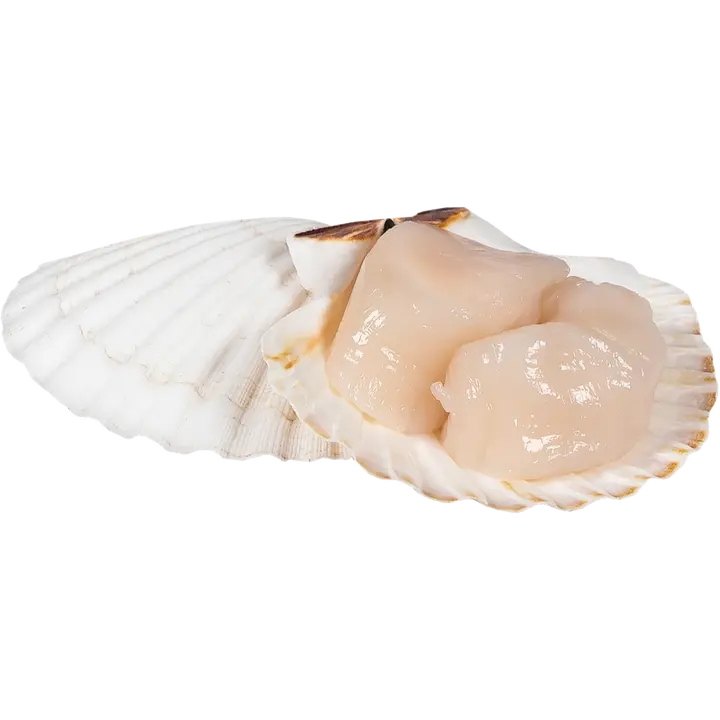 Herkku kampasimpukanliha raaka 180g
