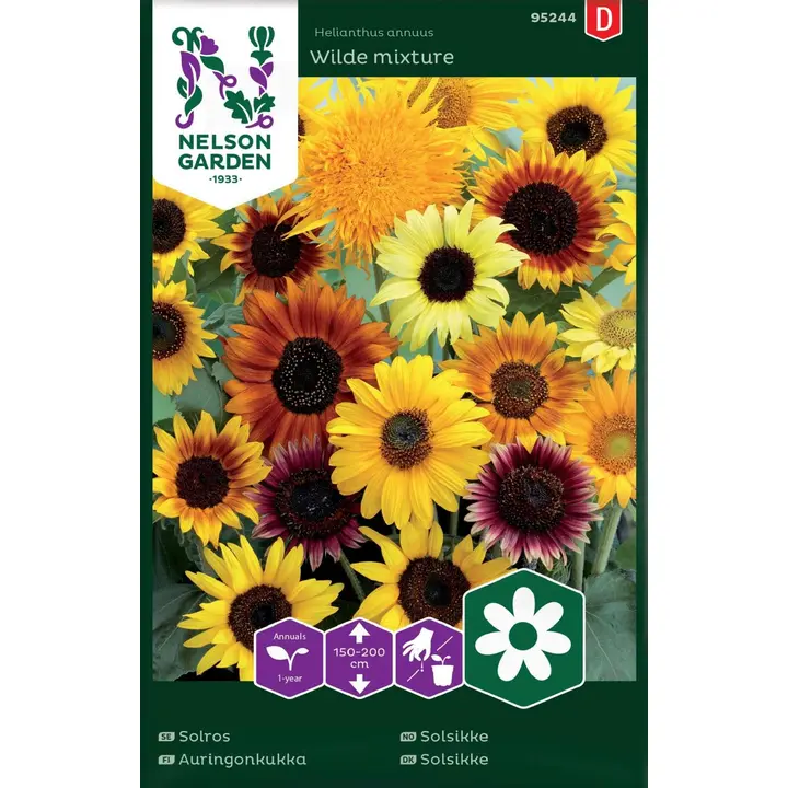 95244 päevalill seos