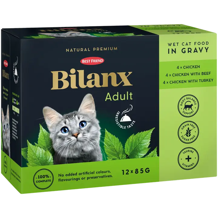 Best Friend Bilanx Adult lajitelma kastikkeessa 12x85 g