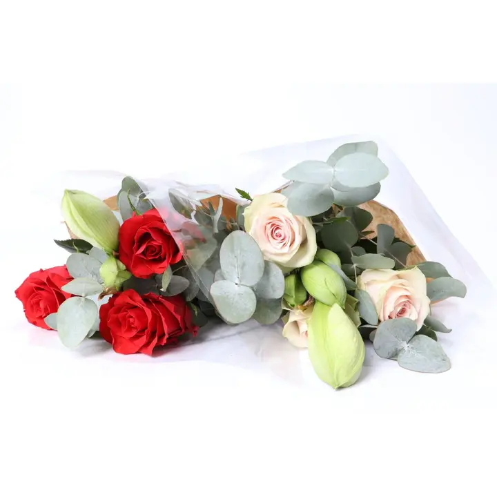 Kimppu Amaryllis, lajitelma, punainen / v.pun sekakimppu, 9 oksaa, 50cm