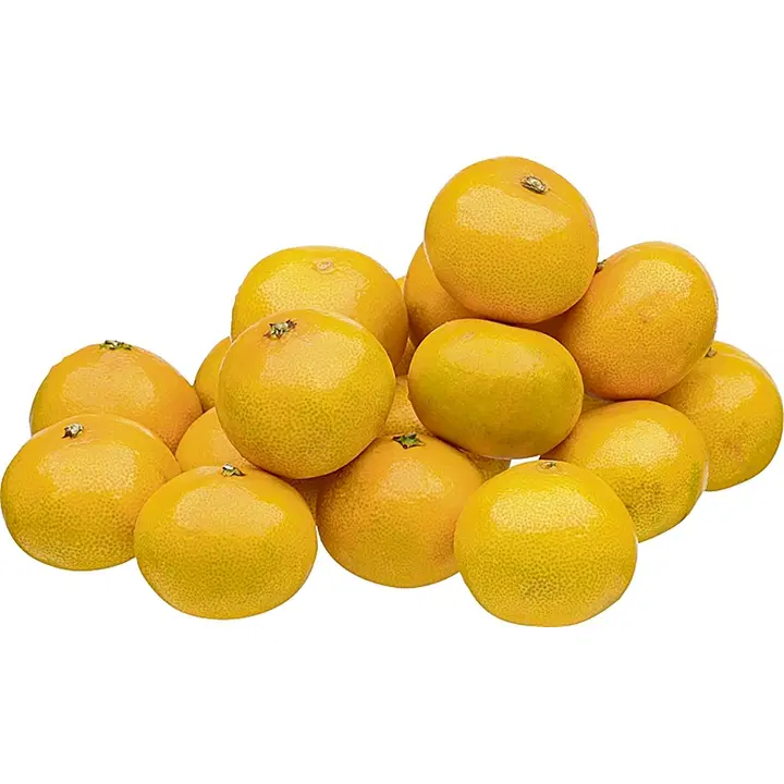 Satsuma