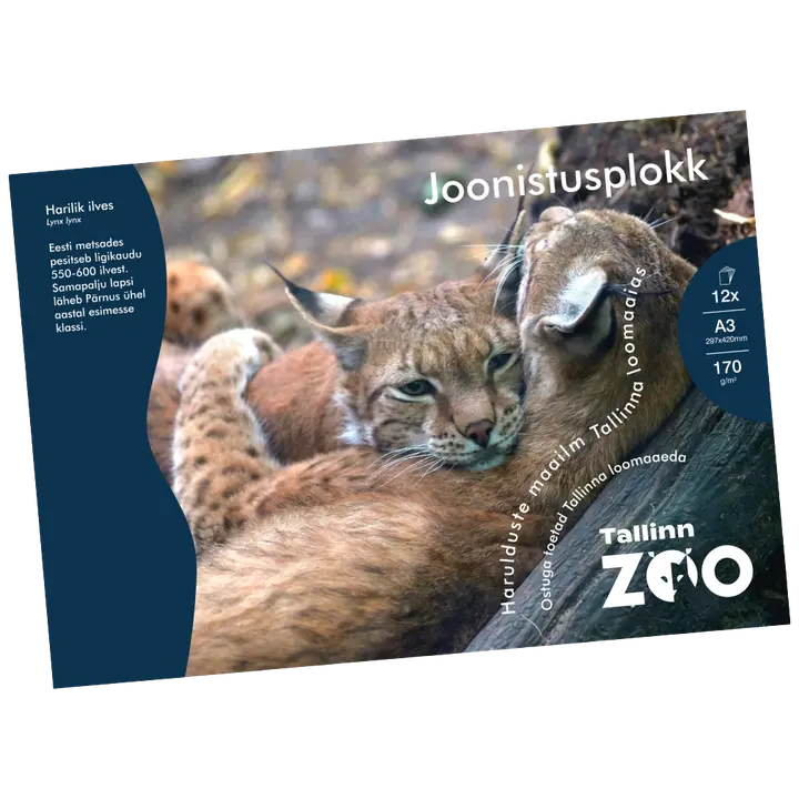 Joonistusplokk loomaaed a3/170g 12