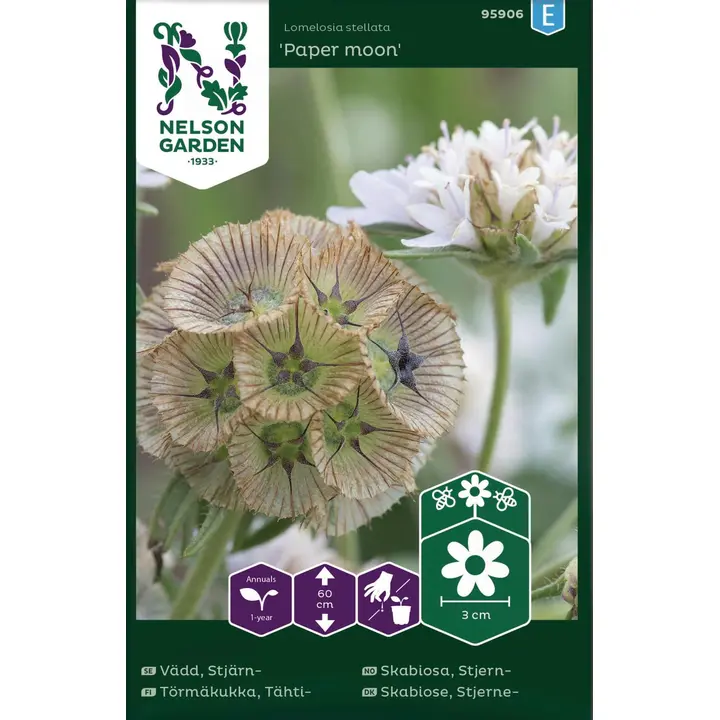 95906tähelill paper moon