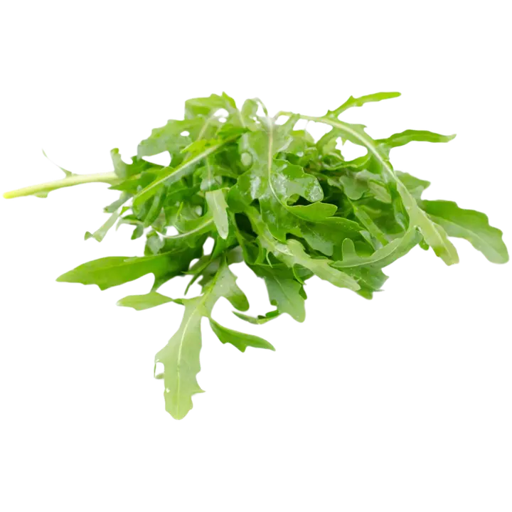 Fino Fresco Rucola