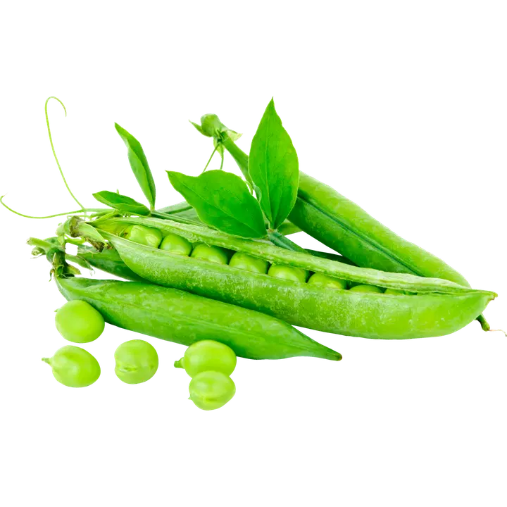 Herneenpalko
