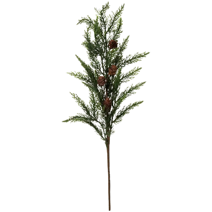 AmandaB männynoksa käpy 60cm