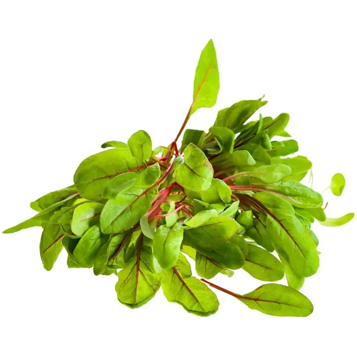 Ahlberg punamangoldi luomu 50 g