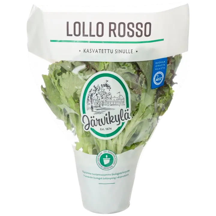 Järvikylän Lollo rosso salaatti, ruukku n.100g