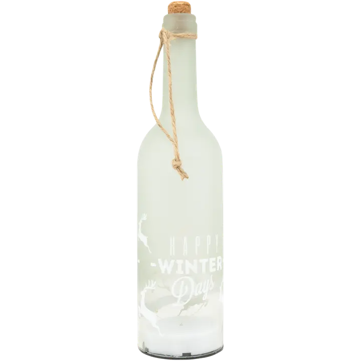 Led pudel head talve