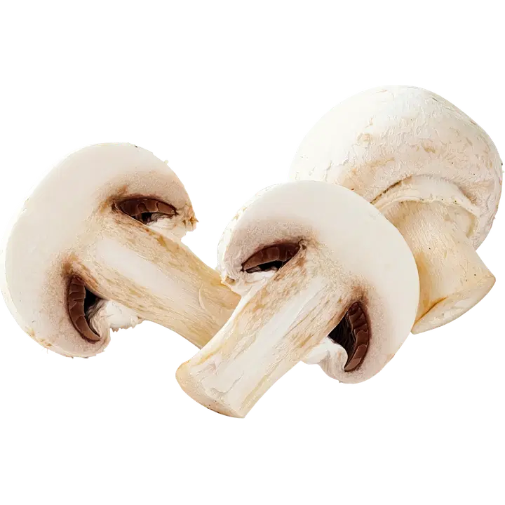 Champ herkkusieni jumbo