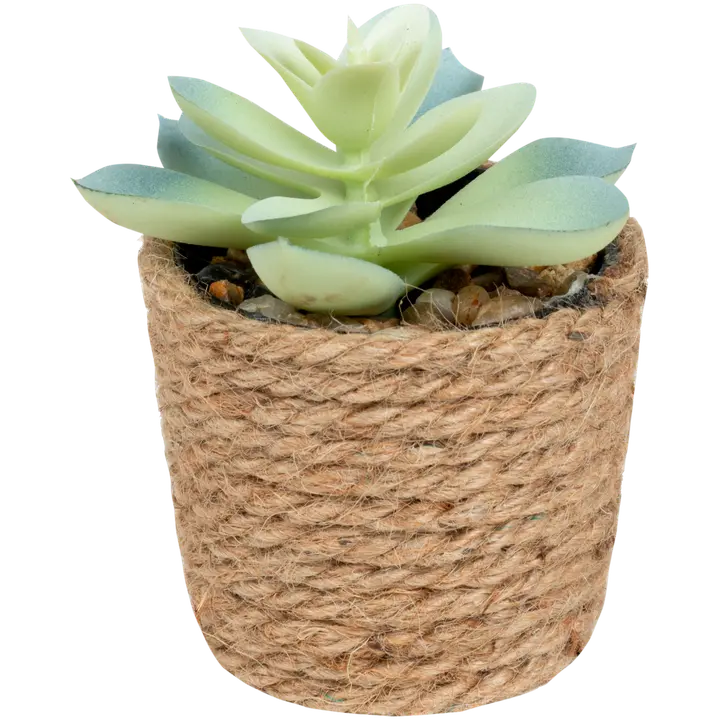Tekokasvi juuttiruukussa C 9,5cm