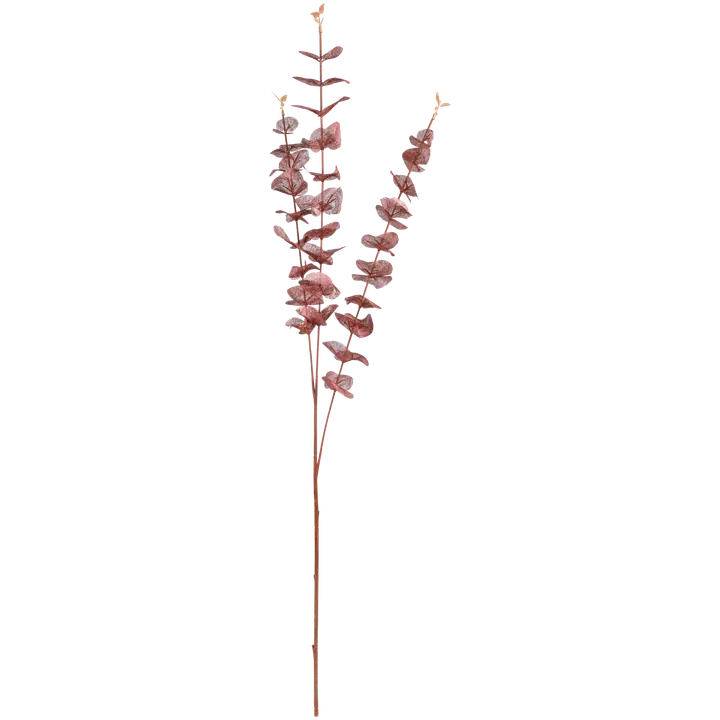 Teko-oksa eukalyptus 3 haaraa, erilaisia