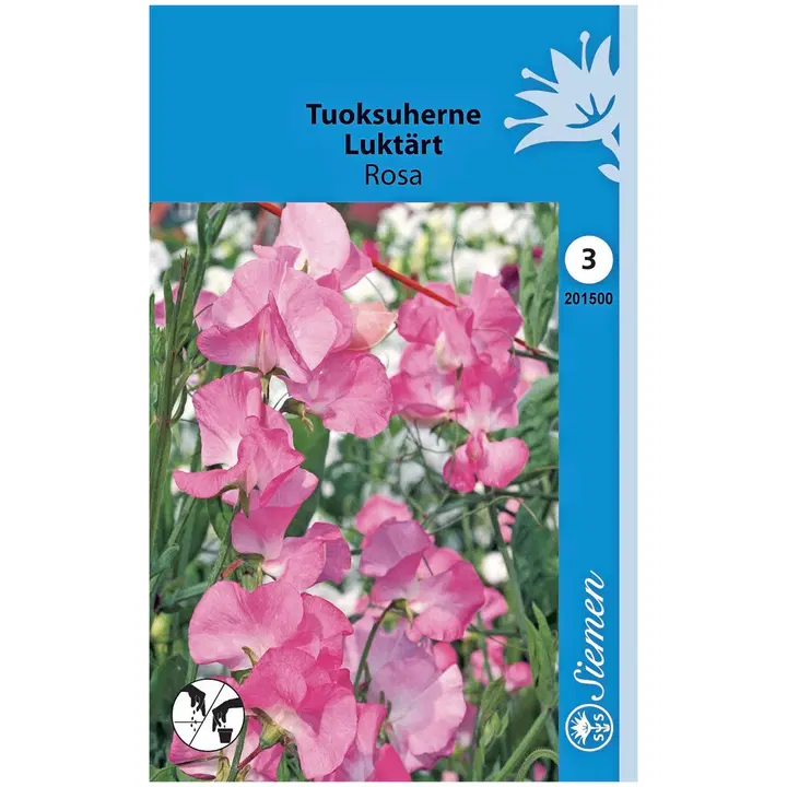 Tuoksuherne Rosa