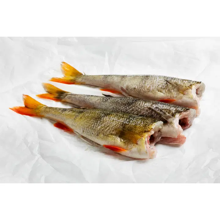 Finnish Freshfish pannuahven