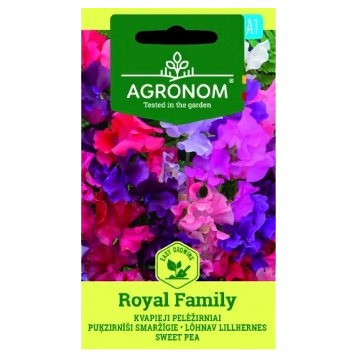 Lillhernes royal family-lathyrus odoratus l.