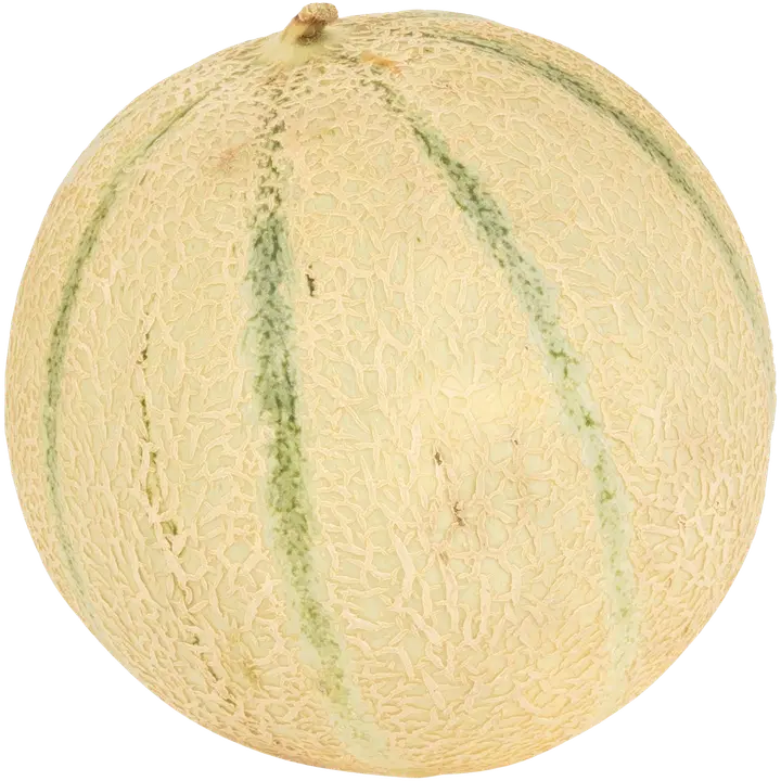 Cantaloupe meloni pakattu pala