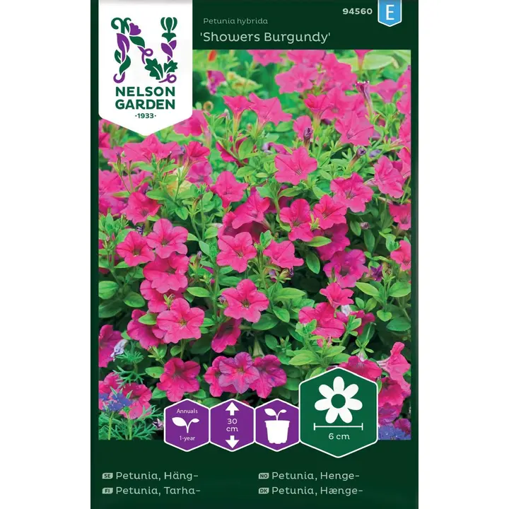 94560 petunia showers burgundy