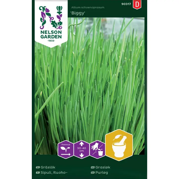 90317 sibul, ruoho-, tavallinen, biggy
