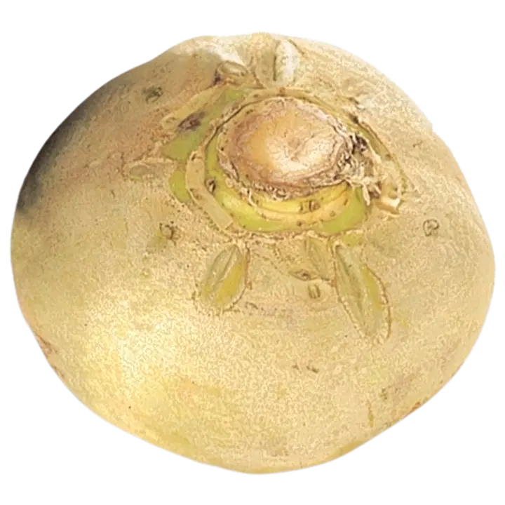 LANTTUPUSSI 2 KG