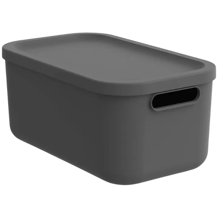 Kast Albula kaanega 12l antratsiit