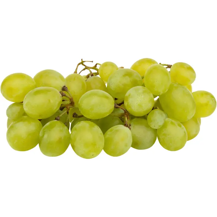 Vihreä rypäle siemenellinen