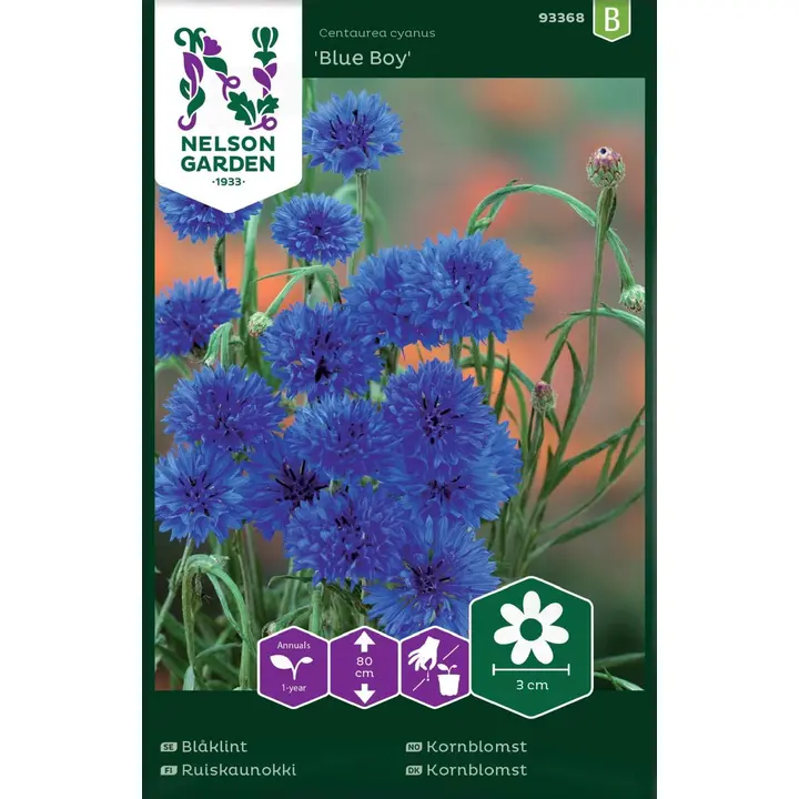 93368 rukkilill ruis-, blue boy