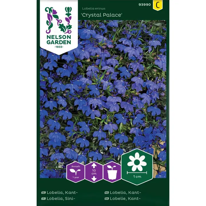 93990 lobelia crystal palace