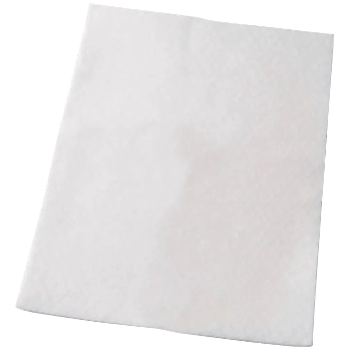 Tolmuimeja filter Electrolux EF55