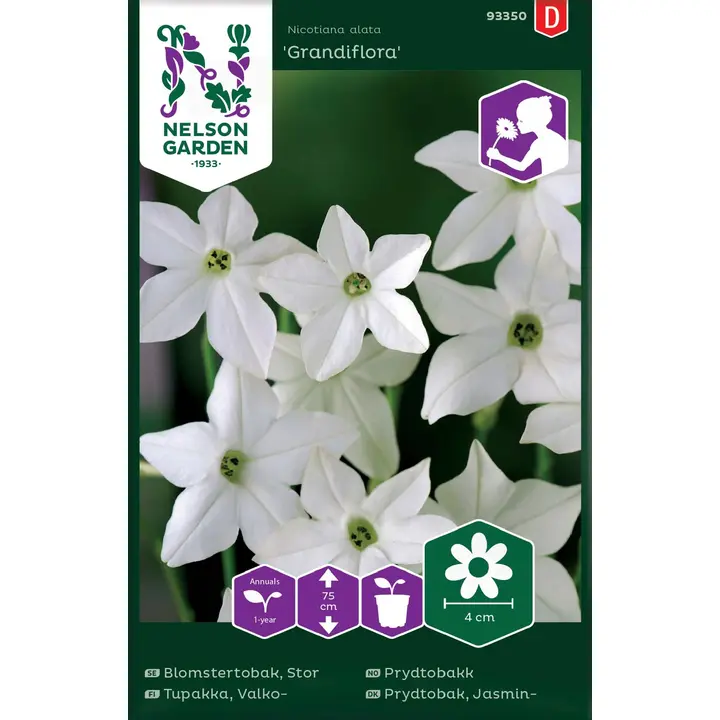 93350 tubakas grandiflora