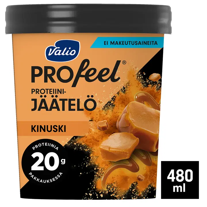 Valio PROfeel® jäätelö 480 ml kinuski laktoositon