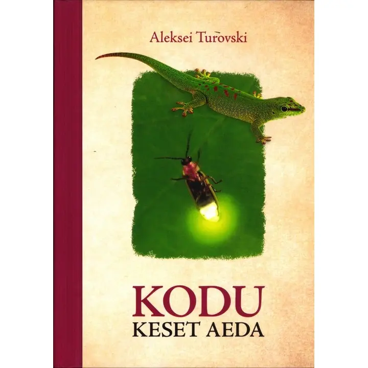 Kodu keset aeda