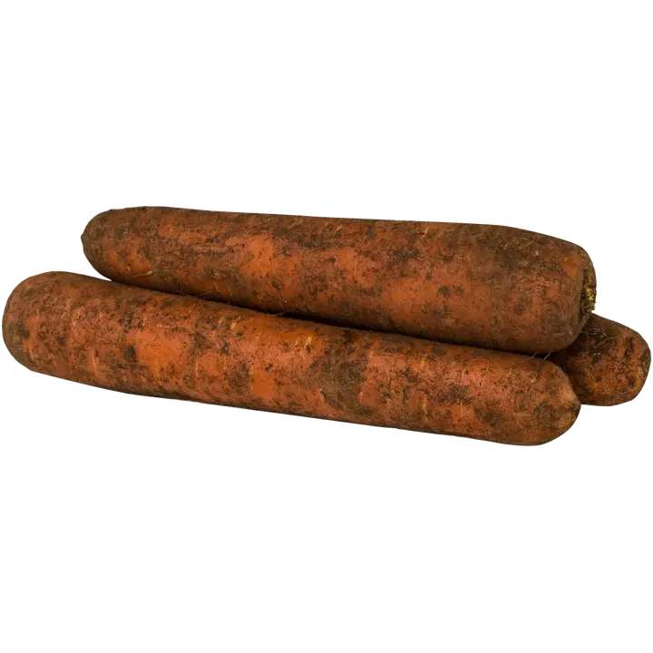 Multaporkkana
