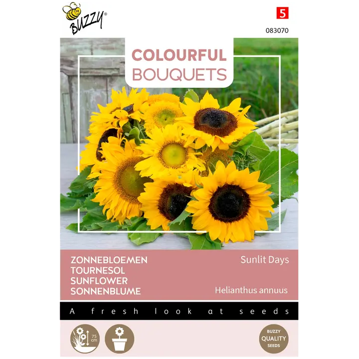 Sunlit days päevalille segu