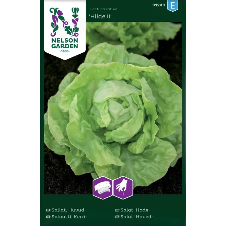91249 salat hilde ii, külvilint
