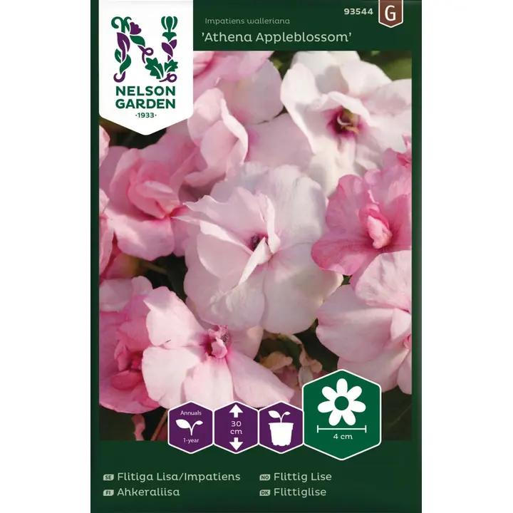 93544 impatiens athena appleblossom f1