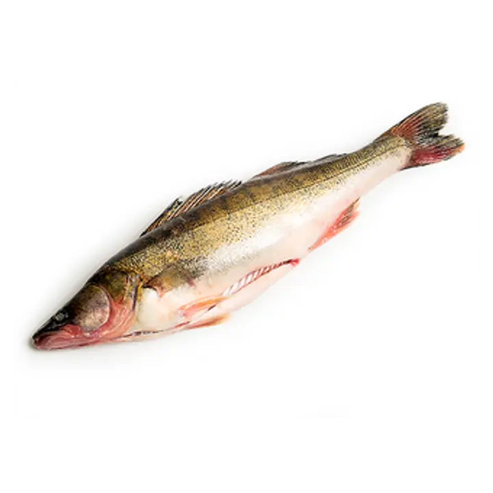 Koha, jahutatud, roogitud, kg