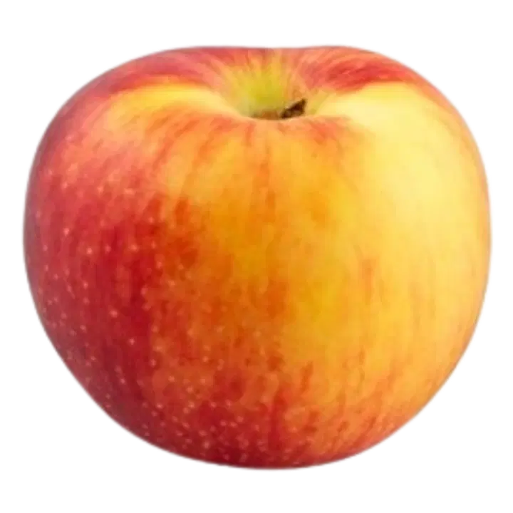 Õun Rubinola I klass