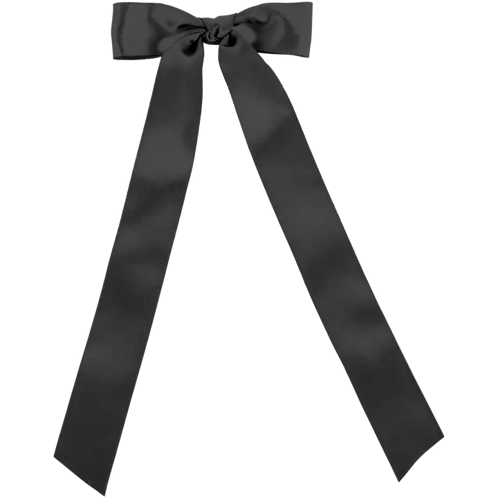 Ibero juukseklamber must lips