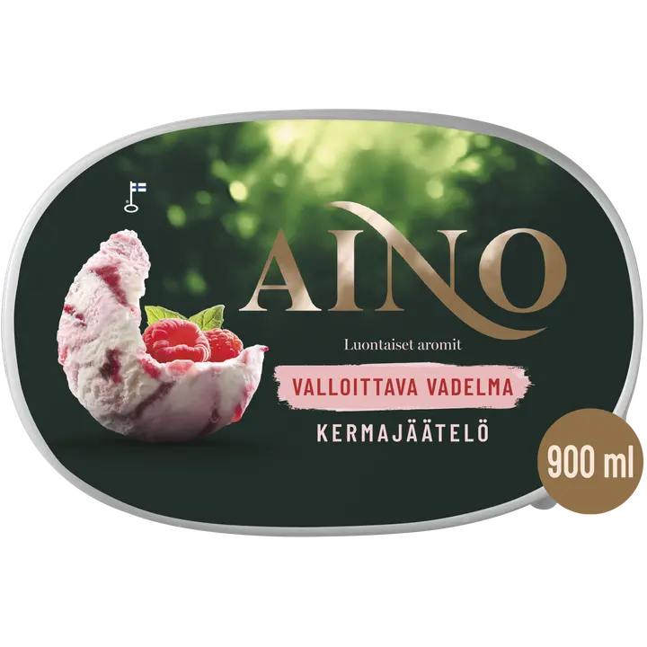 Aino Valloittava Vadelma kermajäätelö kotipakkaus 506g/900ml