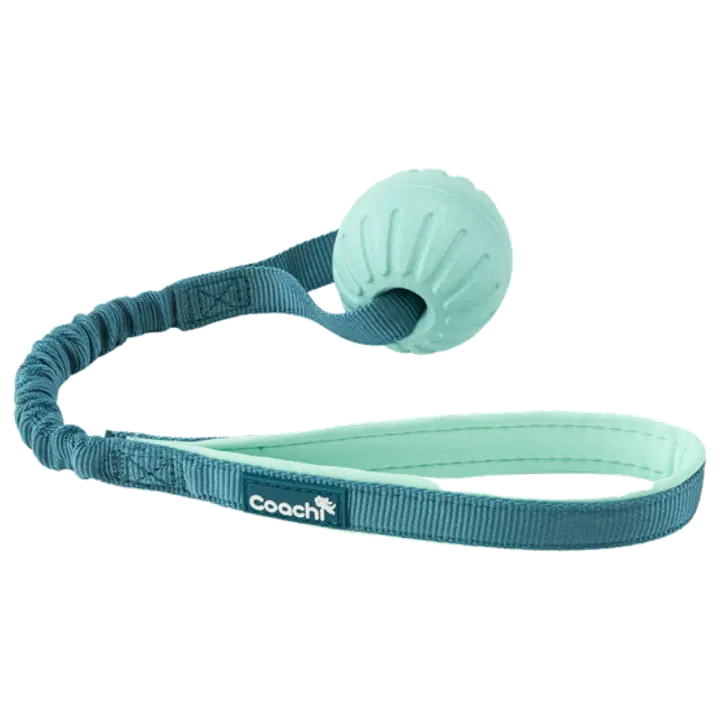 Coachi Puppy & Mini Tuggi Ball Teal & Mint