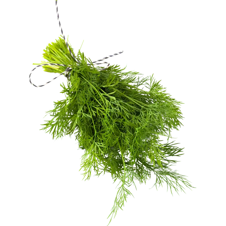 Tillinippu