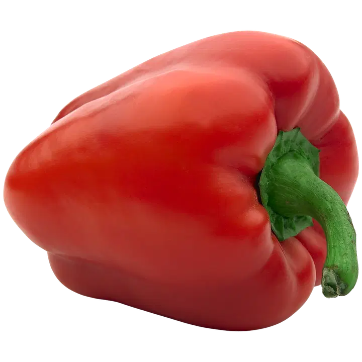 PAPRIKA PUNAINEN