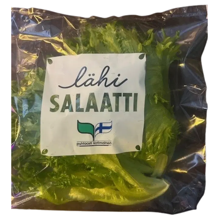 Lähisalaatti