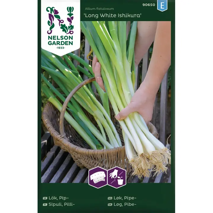 90650 sibul longwhite ishikura