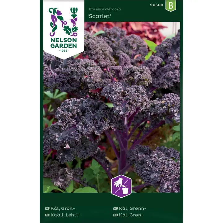 90508 kale scarlet