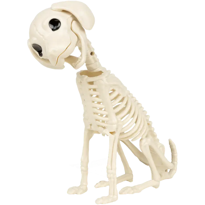 Pöytäkoriste luuranko puppy