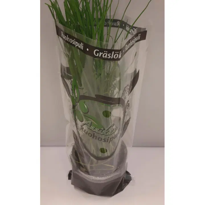 6x Annikan Ruohosipuli